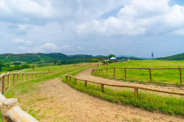 Frühsommerliche Landschaft Von Mulan Grasland Landschaftlich Reizvoller Ort Wuhan Provinz — Stockfoto