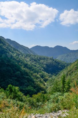 Hubei Eyaleti Cennet Köyü Milli Jeoloji Parkı Yaz Manzarası