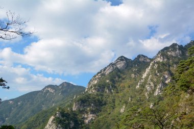 Hubei Eyaleti Cennet Köyü Milli Jeoloji Parkı Yaz Manzarası