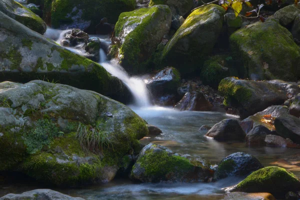 Paesaggio Estivo Del Paradiso Villaggio Parco Geologico Nazionale Nella Provincia — Foto Stock