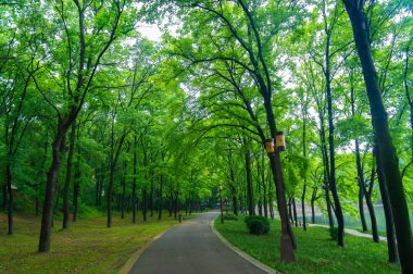 Wuhan East Lake Scenic Spot yaz sahne