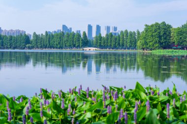 Wuhan East Lake Scenic Spot yaz sahne