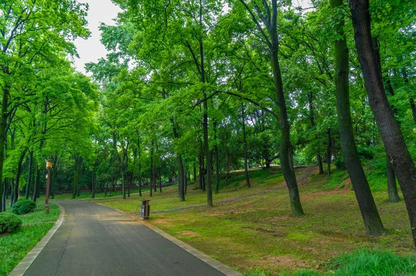 Sommer Landschaft Von Wuhan East Lake Landschaftlich Reizvolle Stelle — Stockfoto