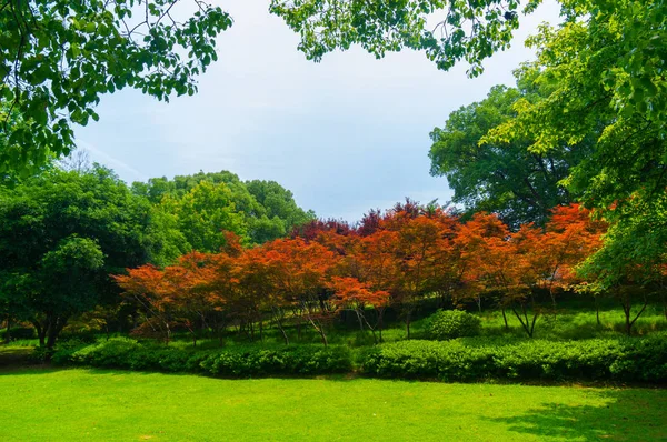 Sommer Landschaft Von Wuhan East Lake Landschaftlich Reizvolle Stelle — Stockfoto