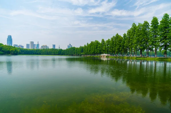 Zomer Landschap Van Wuhan East Lake Scenic Spot — Stockfoto