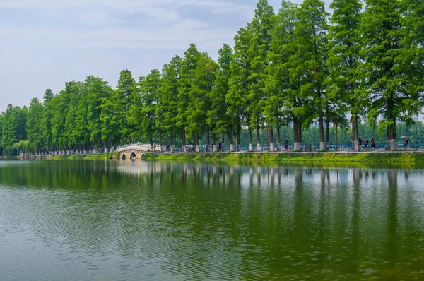 Zomer Landschap Van Wuhan East Lake Scenic Spot — Stockfoto