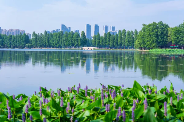 武漢東湖景勝スポットの夏の風景 — ストック写真