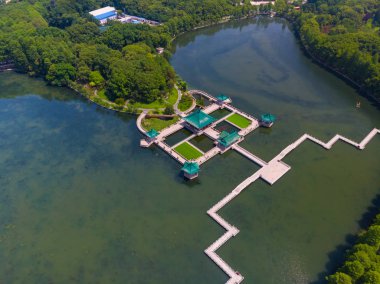 Yaz aylarında Wuhan East Lake Scenic Spot manzara