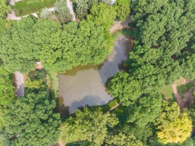 Wuhan Doğu Gölü Moshan Manzara Alanı Hava Manzara yaz aylarında