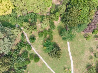 Wuhan Doğu Gölü Moshan Manzara Alanı Hava Manzara yaz aylarında