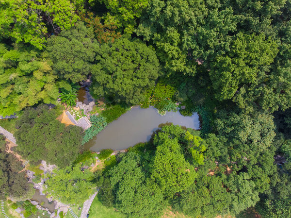 Wuhan East Lake Moshan Scenic Area Aerial Scenery in summer