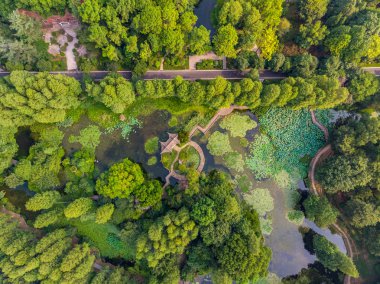Wuhan Botanik Bahçesi yaz büyüleyici hava sahne