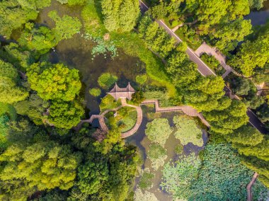 Wuhan Botanik Bahçesi yaz büyüleyici hava sahne