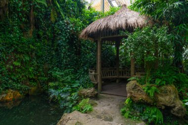 Wuhan Botanik Bahçesi'nin yaz manzarası