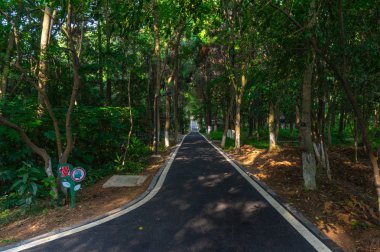 Wuhan Botanik Bahçesi'nin yaz manzarası
