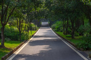 Wuhan Botanik Bahçesi'nin yaz manzarası