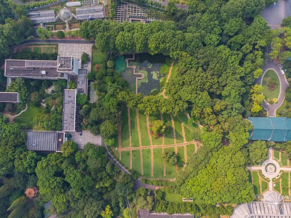 Jardín Botánico Wuhan Verano Encantador Paisaje Aéreo — Foto de Stock