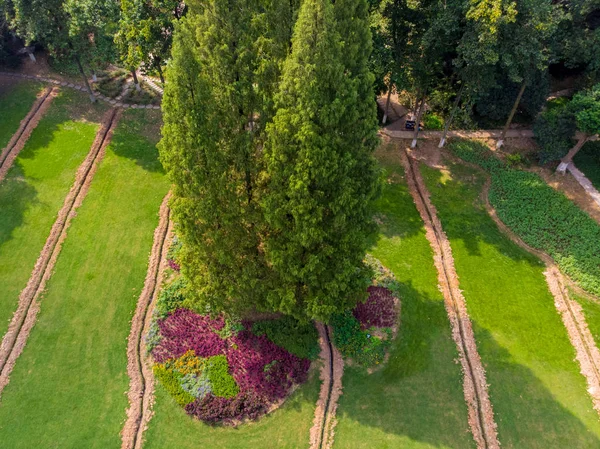 Wuhan Botanical Garden Summer Charming Aerial Scenery — Stock Photo, Image