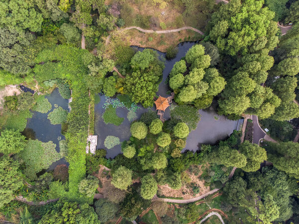 Wuhan Botanical Garden summer charming aerial scenery