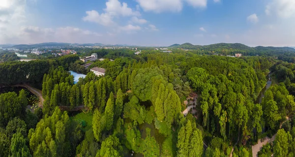 Wuhan Botanical Garden Summer Charming Luft Landskap — Stockfoto