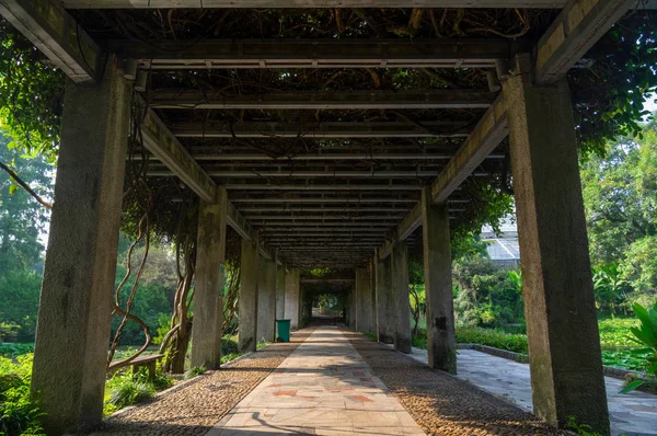 Wuhan Botanik Bahçesi'nin yaz manzarası