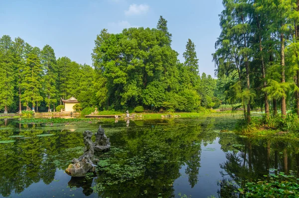 Wuhan Botanik Bahçesi'nin yaz manzarası