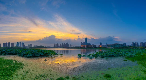 Wuhan şehir gün batımı ve yaz aylarında gece silueti sahne