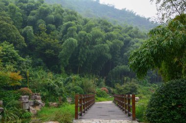 Yixing, Zhuhai, Jiangsu Eyaleti'nde yaz manzarası