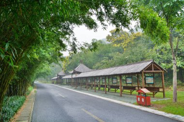 Yixing, Zhuhai, Jiangsu Eyaleti'nde yaz manzarası