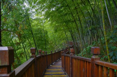 Yixing, Zhuhai, Jiangsu Eyaleti'nde yaz manzarası