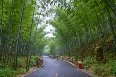 Yixing, Zhuhai, Jiangsu Eyaleti'nde yaz manzarası