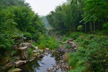 Yixing, Zhuhai, Jiangsu Eyaleti'nde yaz manzarası