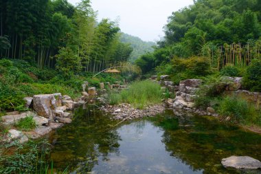 Yixing, Zhuhai, Jiangsu Eyaleti'nde yaz manzarası