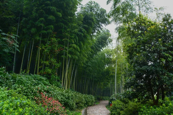 Nyári Táj Yixingben Zhuhai Jiangsu Tartomány — Stock Fotó