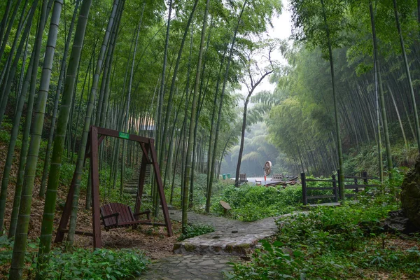 Plan Paysages Été Yixing Zhuhai Jiangsu — Photo