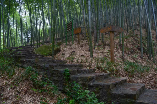 Nyári Táj Yixingben Zhuhai Jiangsu Tartomány — Stock Fotó