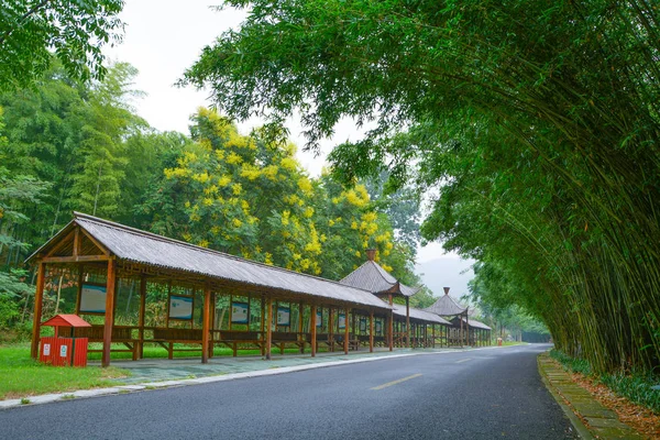 Yixing, Zhuhai, Jiangsu Eyaleti'nde yaz manzarası