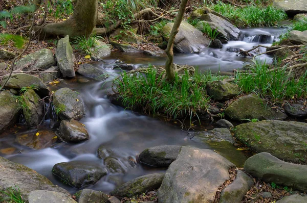 Malebná Oblast Wuhan Huangpi Mulan Tianchi Pozdní Léto Začátek Podzimní — Stock fotografie