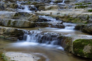 Yichang, Hubei'deki üç boğazlı bambu denizinin yaz manzarası