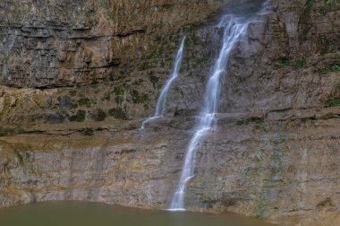 Yichang, Hubei'deki üç boğazlı bambu denizinin yaz manzarası