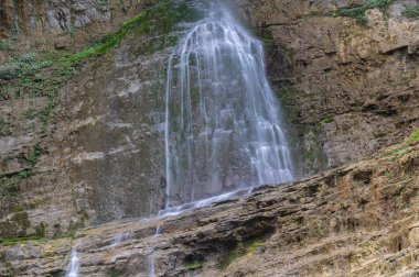 Yichang, Hubei'deki üç boğazlı bambu denizinin yaz manzarası