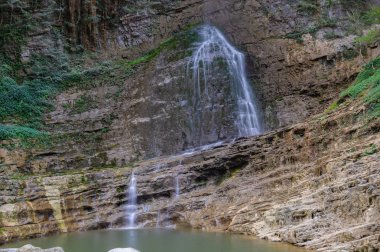 Yichang, Hubei'deki üç boğazlı bambu denizinin yaz manzarası