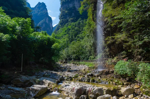 Paysage Estival Des Trois Gorges Mer Bambou Yichang Hubei — Photo
