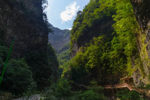 Zomer Landschap Van Drie Gorges Zee Van Bamboe Yichang Hubei — Stockfoto