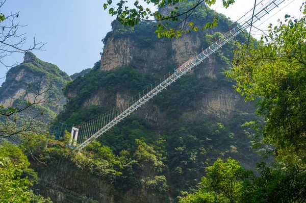 Zomer Landschap Van Drie Gorges Zee Van Bamboe Yichang Hubei — Stockfoto