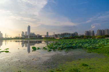 Yaz aylarında Wuhan şehir açık büyüleyici sahne