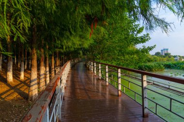 Yaz aylarında Wuhan şehir açık büyüleyici sahne