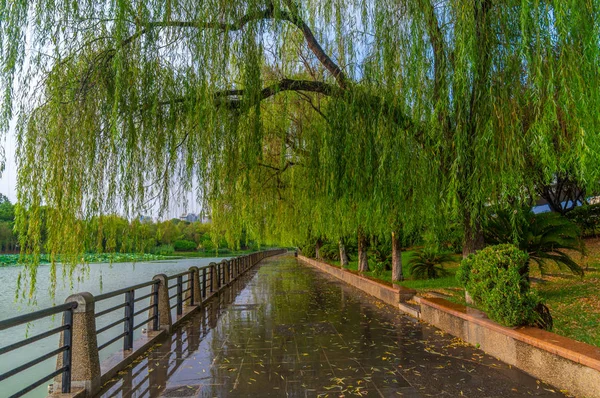 Wuhan Ciudad Paisaje Encantador Aire Libre Verano — Foto de Stock