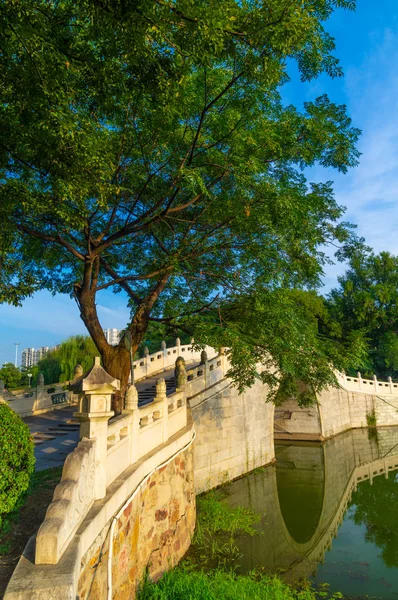 Wuhan City Outdoor Charmant Landschap Zomer — Stockfoto