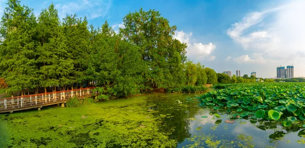 Yaz Aylarında Wuhan Şehir Açık Büyüleyici Sahne — Stok fotoğraf